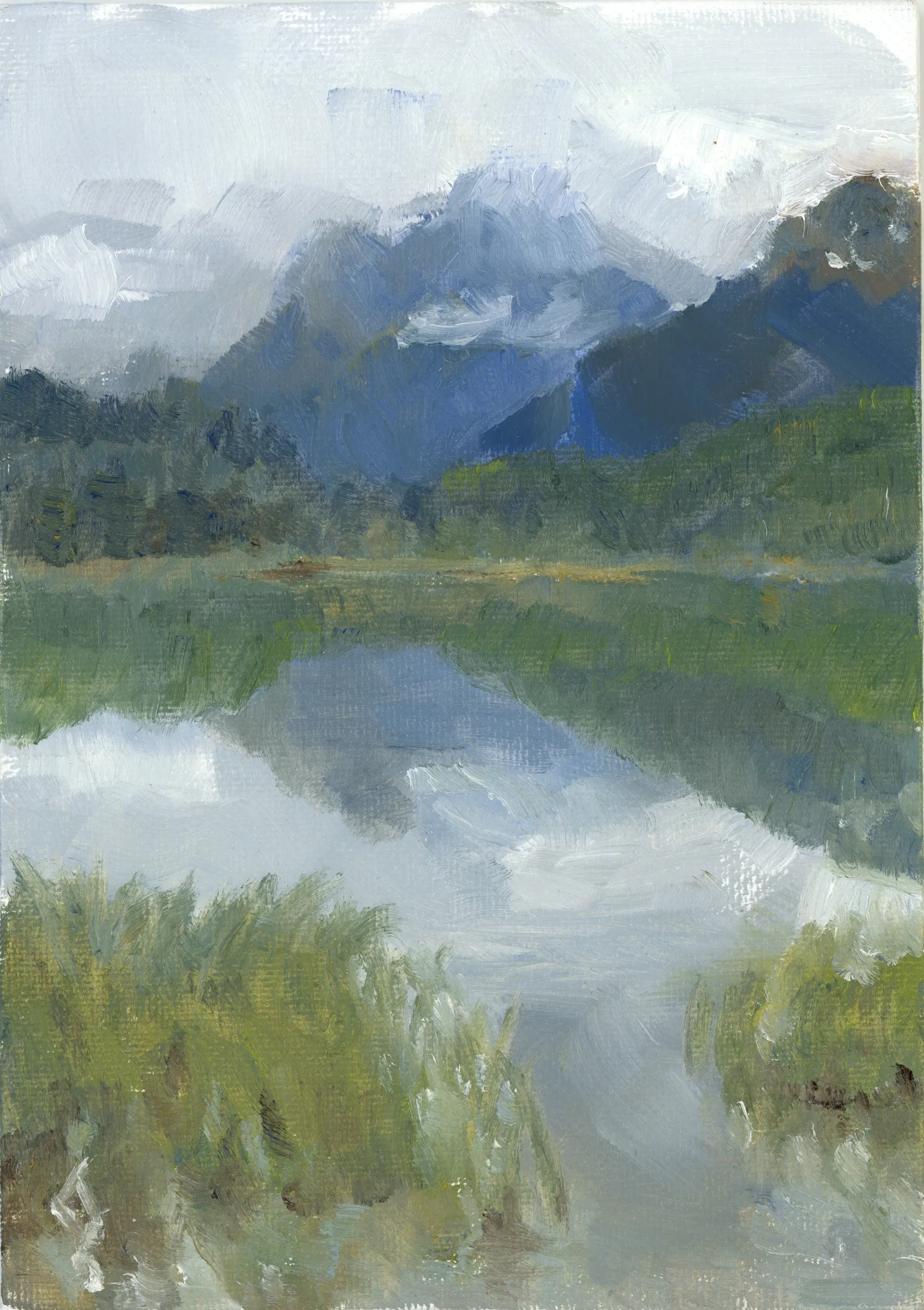 Waterfowl Lake